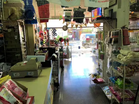 Terreno o Galpón | Apto Profesional