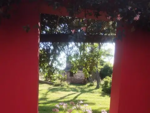 Alquiler temporario casa de campo La negrita