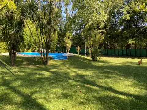 Dr P Narciso Arata 2900