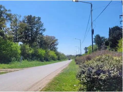 Camino Real Presbítero González y Aragón s/n