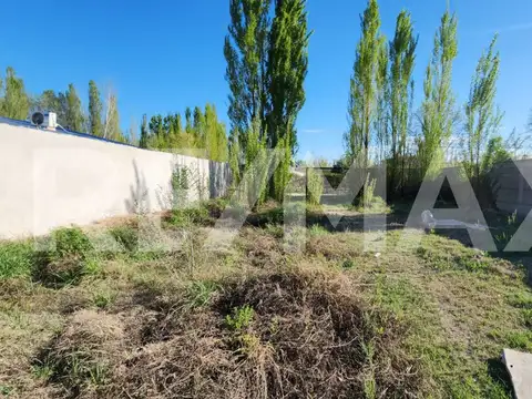 Terreno en Alquiler en Plottier, USD 1.600