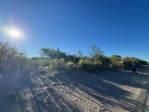 VENTA DE CAMPO 130 HS GENERAL ALVEAR SAN RAFAEL