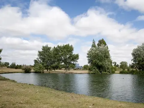 Bo Chacras De La Cruz 100