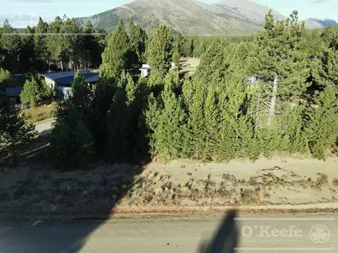 Lote en Dos Valles  1024.95 m2