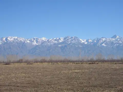 MENDOZA- TUNUYAN- SOBRE RUTA PROVINCIAL 93- 9,6 HAS- B° ALTOS DE UCO- URBANIZADO- LOTES DE 2000 M2