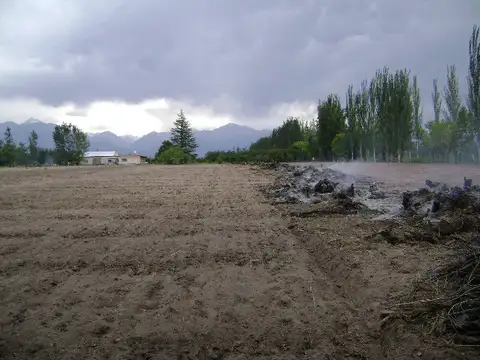 Campo en Venta de 20  ha