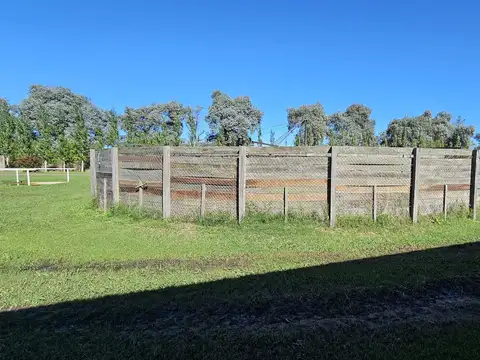 Haras en venta en Chenaut