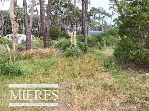 Terreno - Venta - Uruguay, La Barra