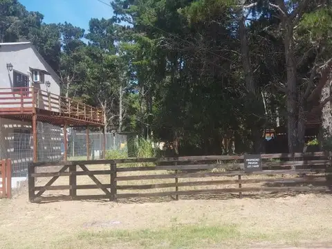 La Margarita e/ Carriego y Obligado