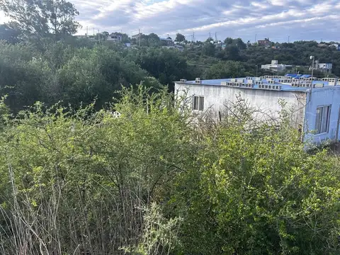 Benjamín Lavaisse 100