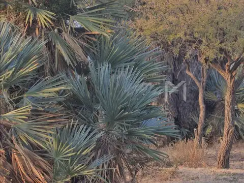 Terreno en Venta en Papagayos, USD 18.000