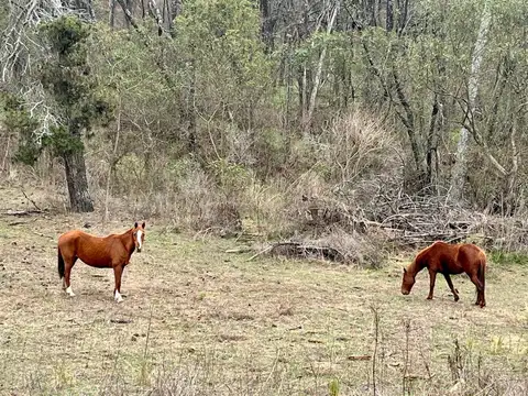 Potrero de Garay, Mzna 3 Lote 45 Camino a San Clemente, km 3 del Gaucho Urbano
