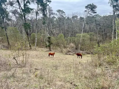 Terreno en Venta en Potrero De Garay, USD 20.400