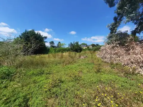 Terreno en Venta de 600,0 m2