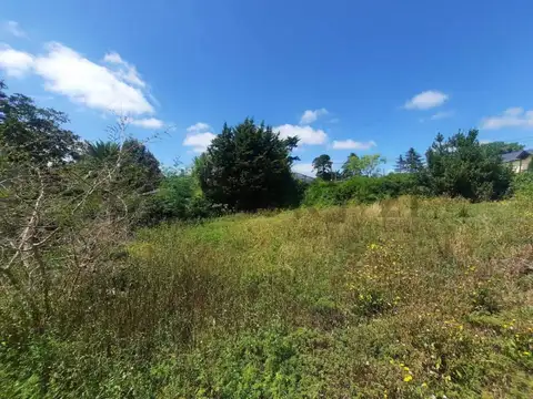 Terreno en Venta 30  mts Fondo