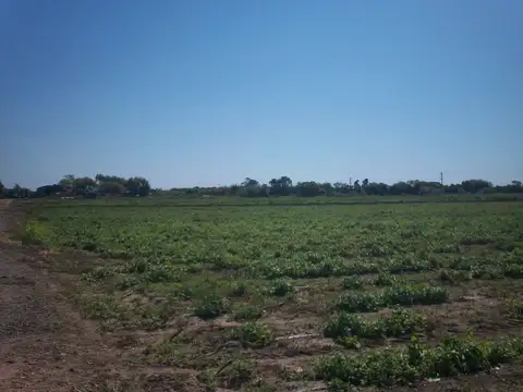 CAMPO 12 HECTAREAS CAMINO DEL INMIGRANTE
