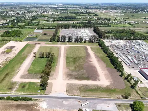 Camino Costa Brava Zárate