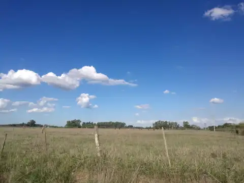 Terreno en Venta en Navarro, USD 27.496