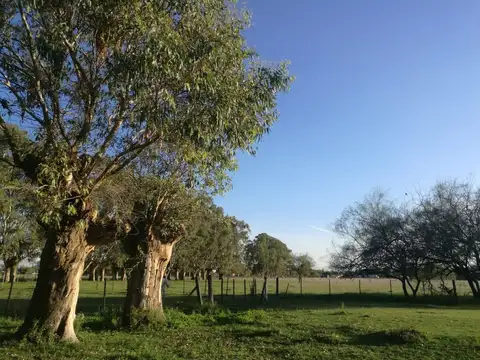 VENTA LOTE NAVARRO 597,73 M2 DISPONIBLES MAS MEDID