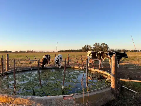 Terreno en Venta en Navarro, USD 27.496