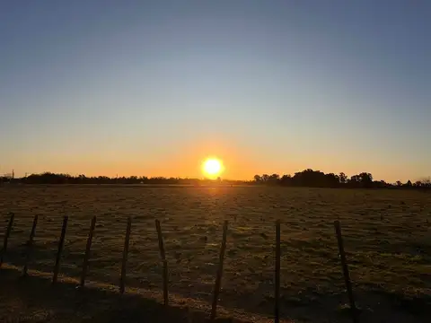 VENTA LOTE NAVARRO 597,73 M2 DISPONIBLES MAS MEDID