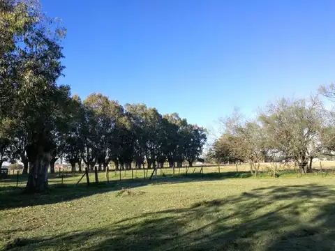 Terreno en Venta de 598,0 m2