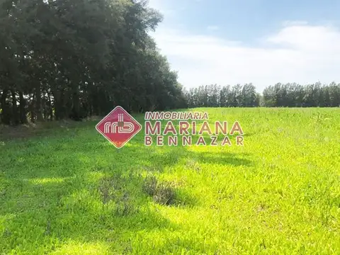 CAMPO SOBRE ASFALTO - ACCESO CIUDAD DE SAN PEDRO