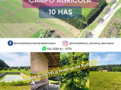 CAMPO SOBRE ASFALTO - ACCESO CIUDAD DE SAN PEDRO