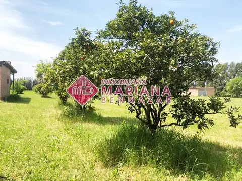 CAMPO SOBRE ASFALTO - ACCESO CIUDAD DE SAN PEDRO