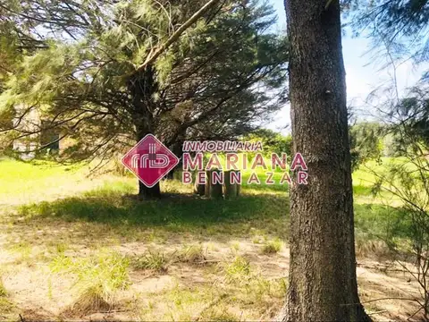 CAMPO SOBRE ASFALTO - ACCESO CIUDAD DE SAN PEDRO