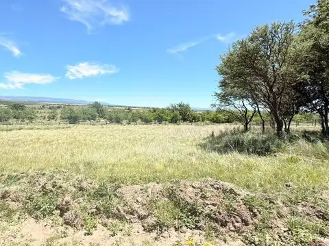 Terreno en Venta de 1004,0 m2