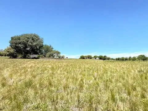 VENTA TERRENO EN BARRIO PUNTO CLARO LOS REARTES