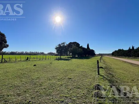 VENTA - CAMPO - 31 HECTAREAS - San Pedro (Bs.As)