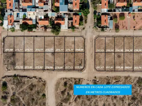 Cafayate. Vicario Toscano. Mza 96 A. Lote 100