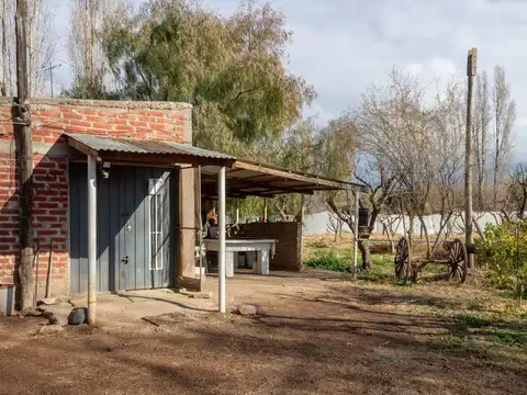 Calle Pincolini perpendicular a las Palmas 5200