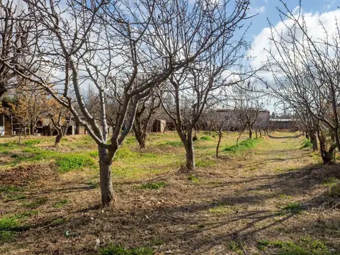 Calle Pincolini perpendicular a las Palmas 5200