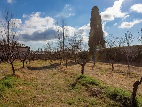 Terreno en Venta en Vistalba, USD 350.000