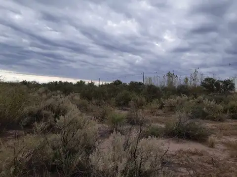 Campo 28 Ha El Ramblón San Martin Mendoza