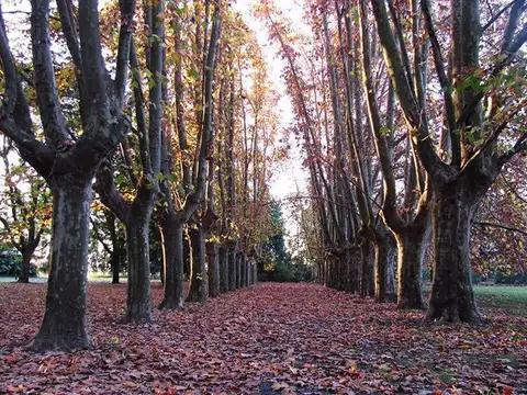 Terreno en Venta en Fighiera, USD 45.000