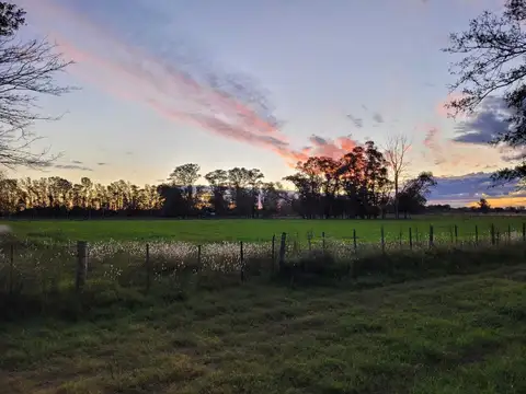 Ruta 28 Pilar- Has s/n