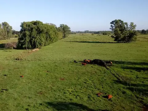 Campo en Venta de 46  ha