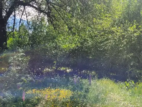 Terreno en Venta de 512,0 m2