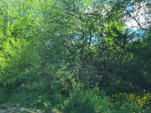 LOTE CENTRICO en  B° Las Chacras El Bolsón