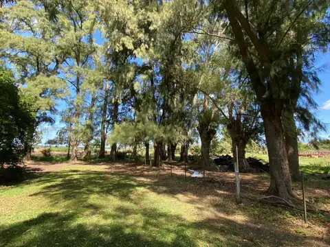 capilla del señor , Piso 0