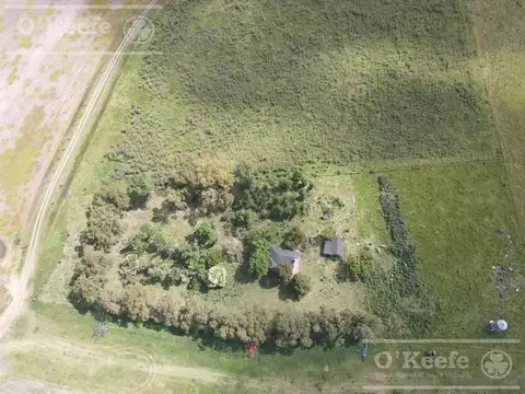 Campo en venta de 300 has en Pila