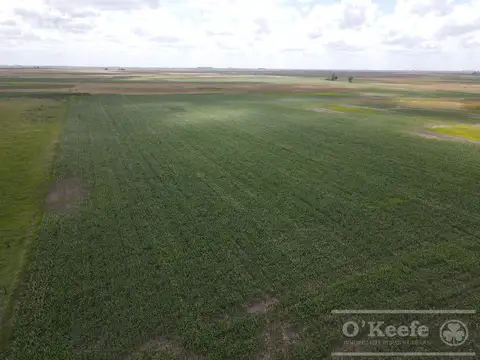 Campo en venta de 300 has en Pila