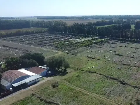 Terreno en Venta 46  mts Fondo