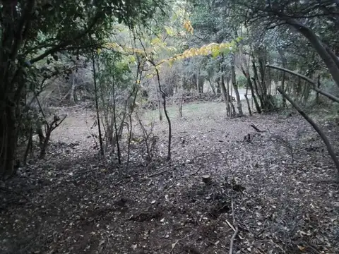 Sierra de la Quijada 1132