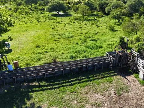 Camino rural Pueblo Libertador