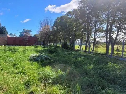 Terreno en Venta 24  mts Fondo